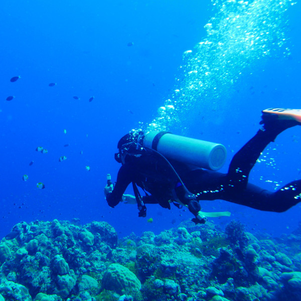 Decompression Sensor for Divers - 