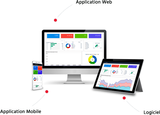 Application web, application mobile, Logiciel